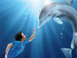 Dolphin Tale